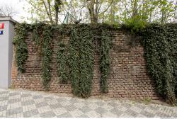 Photo of Mixed Textures